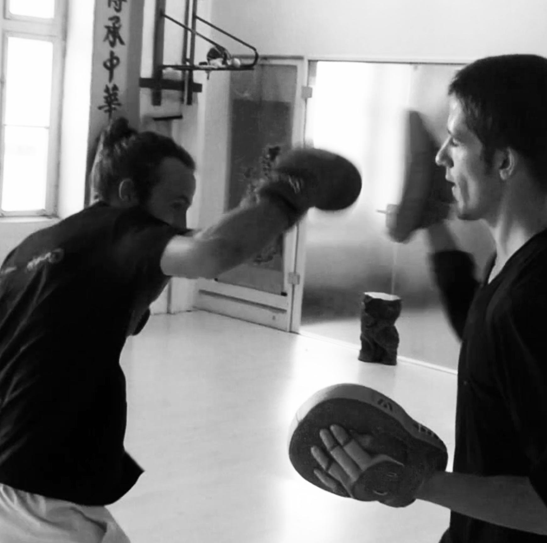 Boxing, Kick boxing