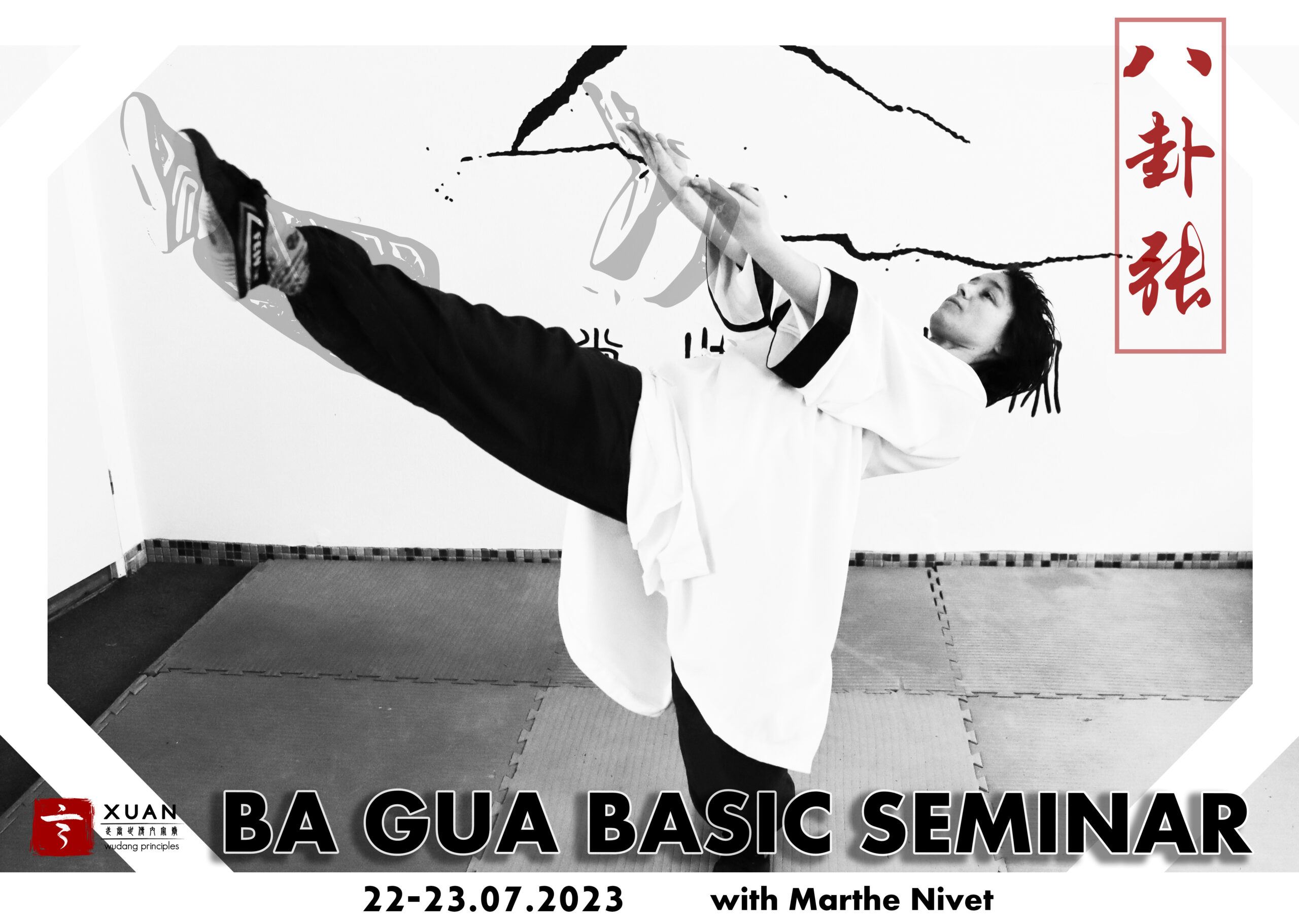 Ba Gua Basics Seminar