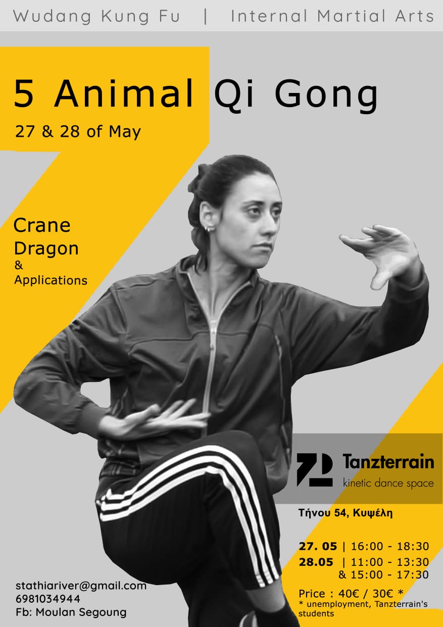 Basic 5 Animals Qi Gong Seminar in Athen
